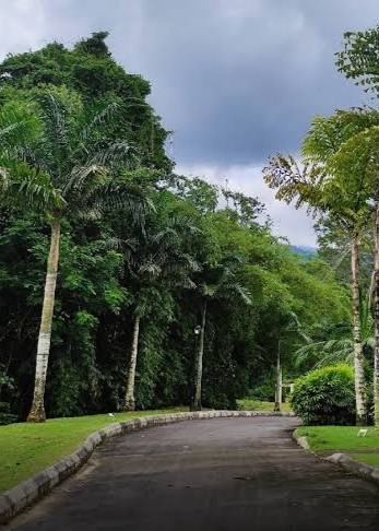 Taiping Lake Gardens