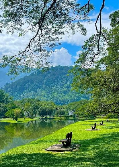 Taiping Lake Gardens